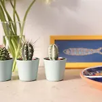 شقة Two Bedroom Cozy Flat By River In Quiet Art Zone Lisboa