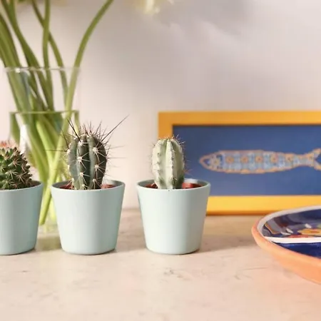 شقة Two Bedroom Cozy Flat By River In Quiet Art Zone Lisboa